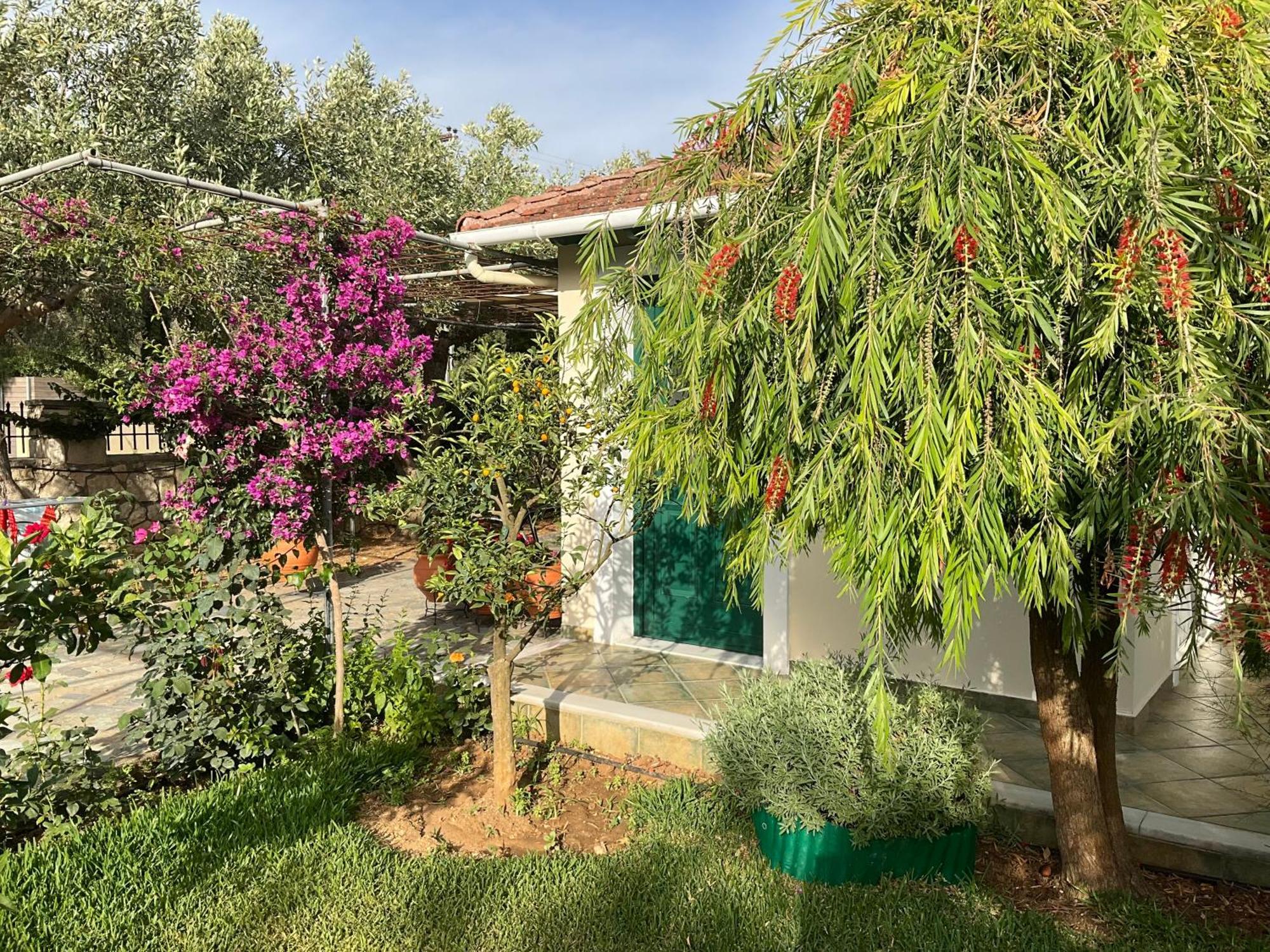 Marina Apartamento *