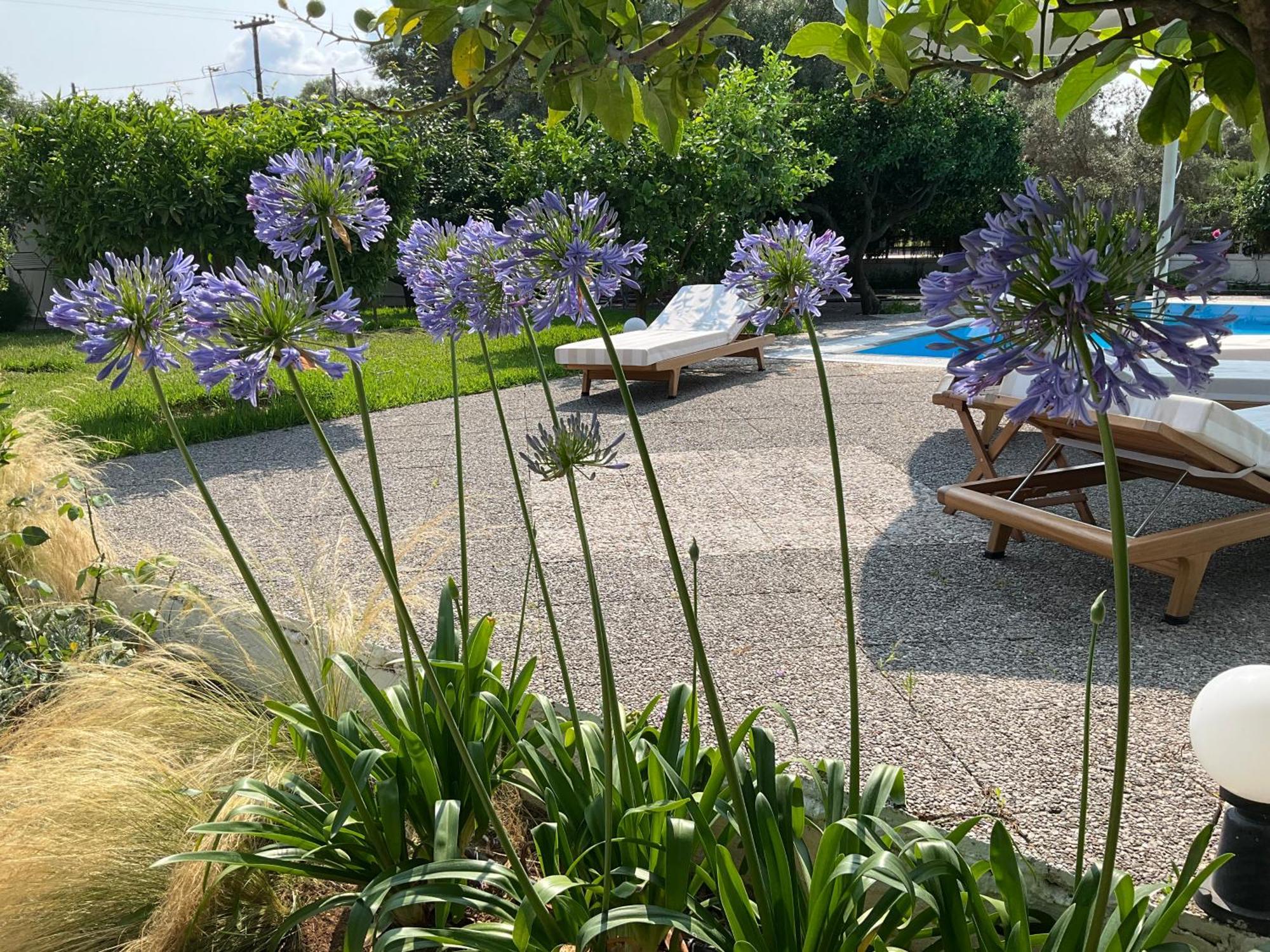 Appartement Marina Lefkáda